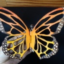 L'envol du papillon, automate type horloge!