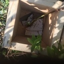 Boîte marcottage aérien