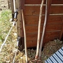 Mon nom est Jen....Jen Manche