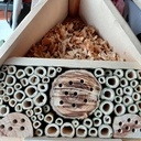 Hôtel à insecte
