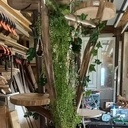 Creatin d'un Arbre à chats