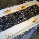 Table basse rivière des Bauges