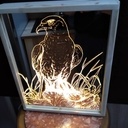 Cadre miroir lumineux