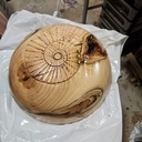 Reprise après accident, une boite coquillage en robinier