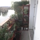 Etagères à plantes et Aménagement de Balcon