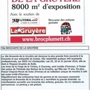 Brocante de la Gruyère