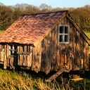 La plus belle des Tiny Houses!