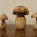 Champignons