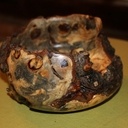 Vide poche en marronnier