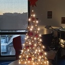 Sapin durable en bois