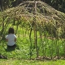 Igloo en osier vivant