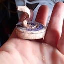 Ma dernière création