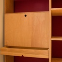 Grande bibliothèque pour un collectionneur de BD