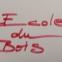 Chaînes YT d'apprentissage