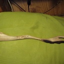 Cuillère pour cuisiner