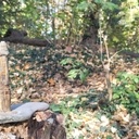 Gardien maritime esseulé