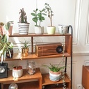 Enceinte en noyer et laiton