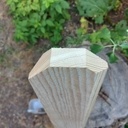 Palissade en planches de coffrage toutes fraîches