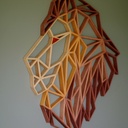 Le lion est sorti de la savane