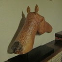 Tête de cheval