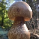 Bolet tourné