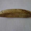 Un petit canoë en broussin de robinier