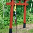 Torii traditionnel