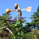 Du vent et des gourdes...