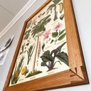 Cadre à photos / posters