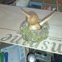 Petit oiseau dans son nid