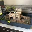Maison à hamster