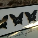 Papillons