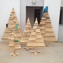 Un p'tit lapin dans un bois d'sapin...