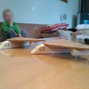 Initiation en famille