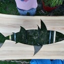 Silhouette de requin