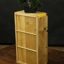 Etageres -  Partir  d'une erreur