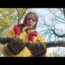 C'est un sacré bout de bois.