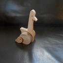 Un ptit canard qui bat des ailes