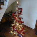 Un sapin sec de plus dans cette forêt !