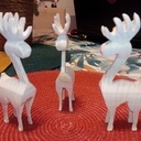 Qui déco de Noël, Renne oblige