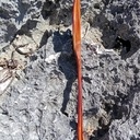 Racloir de saladier de diamètre 32 cm