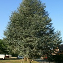 Support d'enceintes monitoring