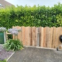 Clôture en bois de palette