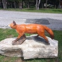 Le chemin des animaux