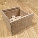 Première réalisation aux outils à main "unplugged" : une boîte