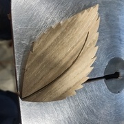 chantournage de la feuille de châtaignier