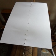 La feuille est appliquée sur les dents à l'aide d'une planchette