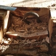 Un crochet débusqué au ciseau.