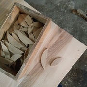 Des gros demi-lamellos. Dimensionnés par rapport à le sortie maximale de ma lamelleuse.