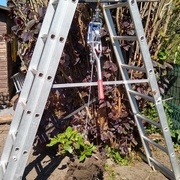 1er système avec pied de biche